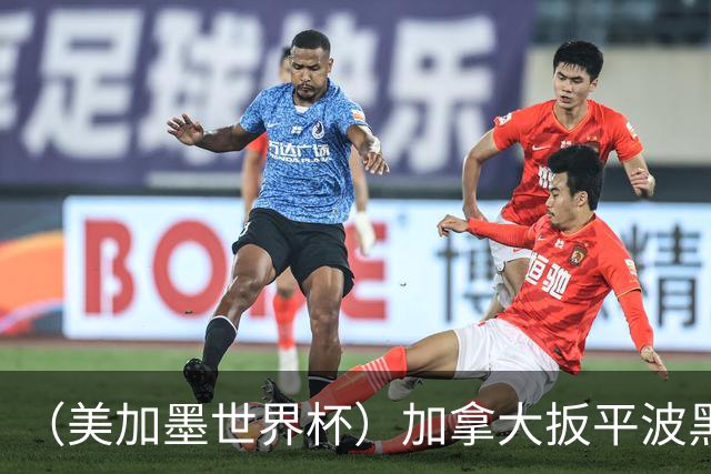 （美加墨世界杯）加拿大扳平波黑 获队史世界杯首分